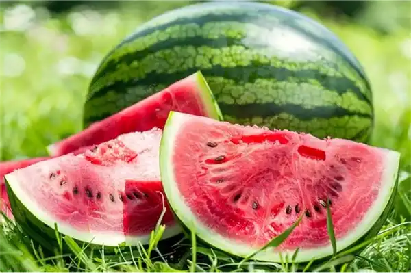 Watermelon Powder: Heart Health & Hydration Support